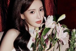金晨容貌变化引热议：从清纯女神到整容风波