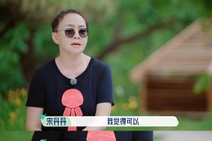 宋丹丹《桃花坞》争议：真人秀中的窒息式社交