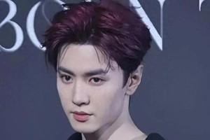 张峻豪2024费加罗盛典红毯造型：时尚与优雅的完美结合