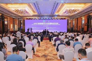 2023广东高考放榜：33.3万人上本科线，志愿填报策略解析